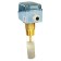 Honeywell Paddle flow switches for liquid ( S6065A1003 ) 