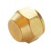CAP NUT : ฝาปิดทองเหลือง 1/4"
